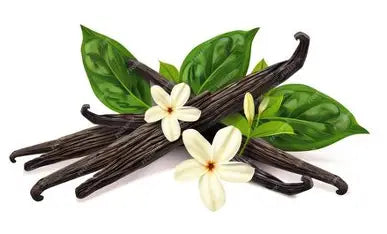 Vanilla Bean Infused Olive Oil