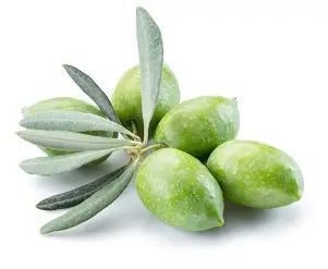 Greek Koroneiki Non-Infused Olive Oil
