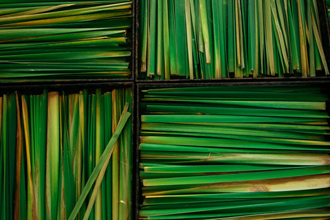 Basil Lemongrass Infused Olive Oil