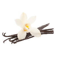 Vanilla Bean Infused Olive Oil