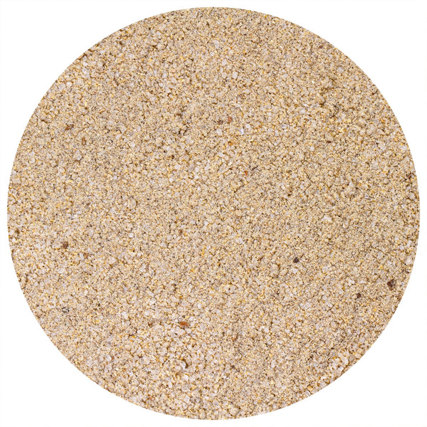 Asian Night Market Chinese Salt