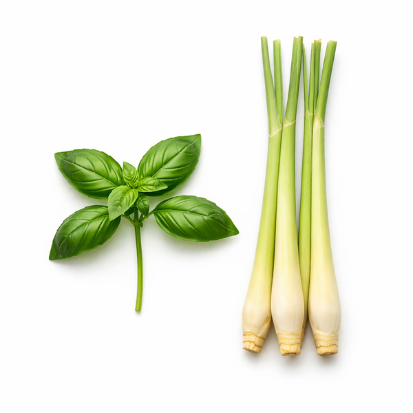 Basil Lemongrass Infused Olive Oil