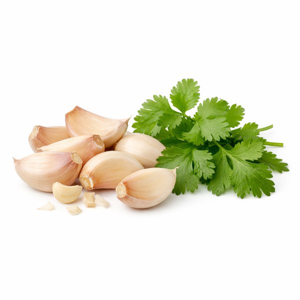 Garlic Cilantro Infused Olive Oil