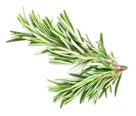 Rosemary Infused Olive Oil