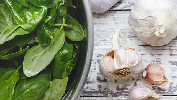 Garlic Herb Infused Olive Oil